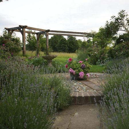 Thatched Cottage B&B Hever Exterior foto