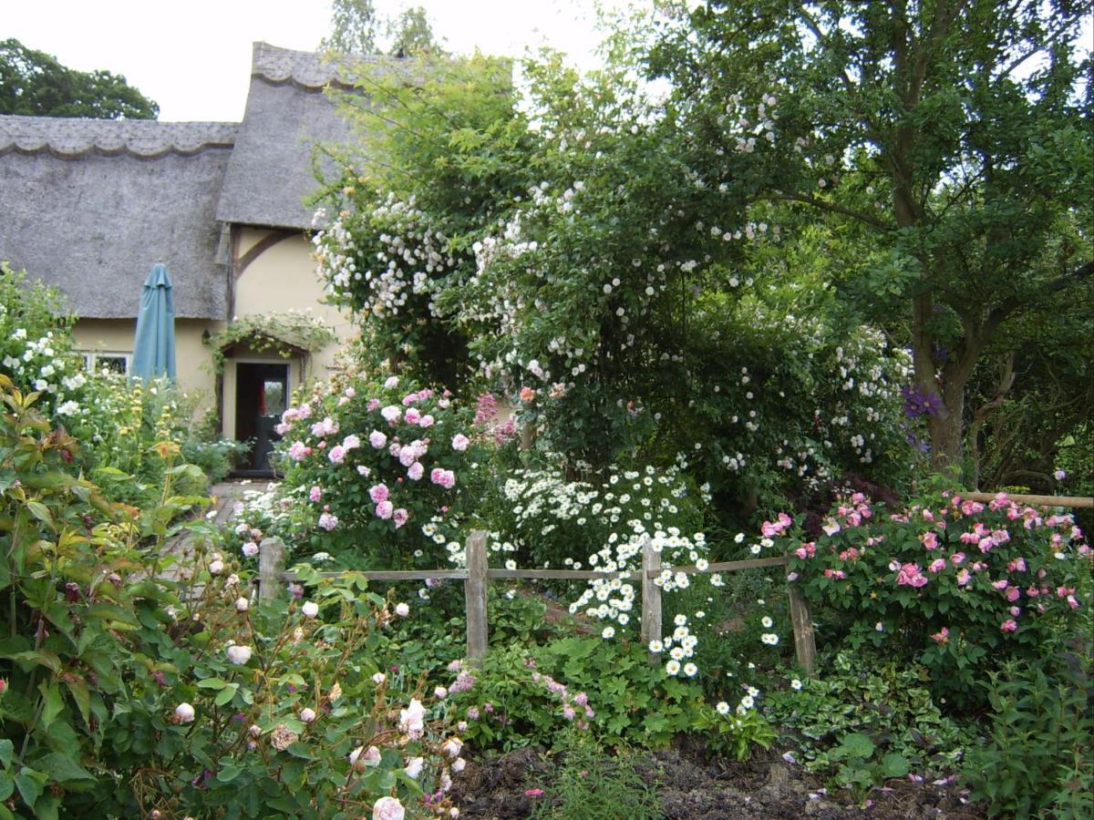 Thatched Cottage B&B Hever Exterior foto