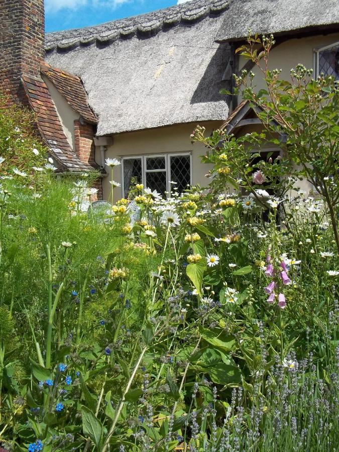 Thatched Cottage B&B Hever Exterior foto