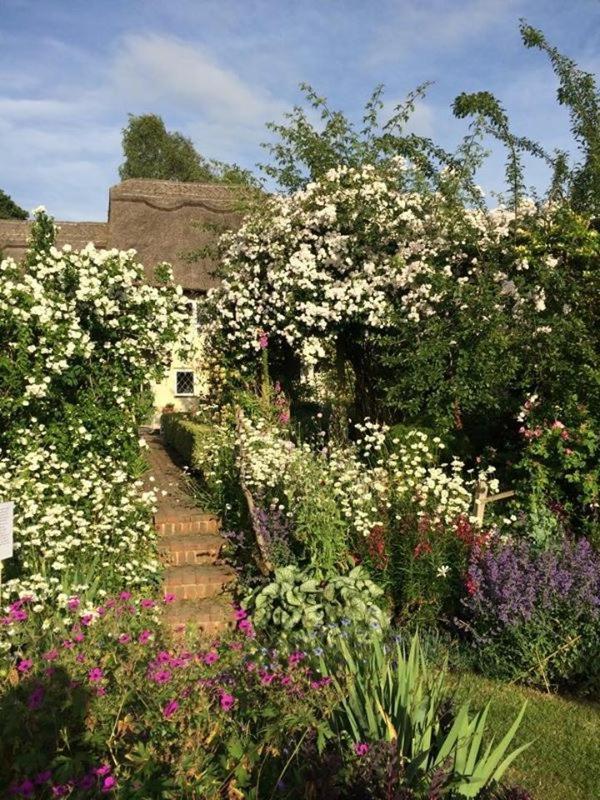 Thatched Cottage B&B Hever Exterior foto